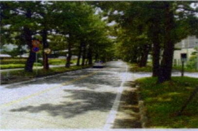 http://homepage2.nifty.com/n-chan/img479.jpg