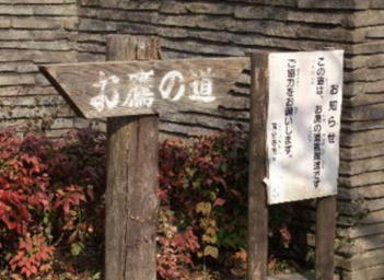 http://homepage2.nifty.com/n-chan/img229.jpg