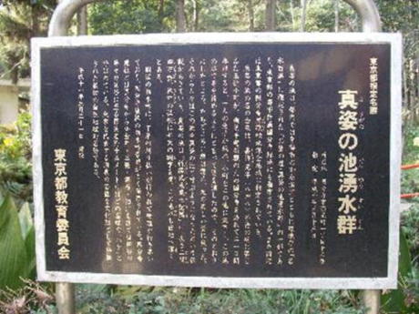 http://homepage2.nifty.com/n-chan/img230.jpg