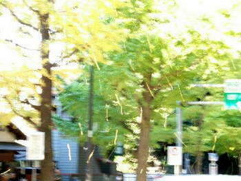 http://homepage2.nifty.com/n-chan/img196.jpg