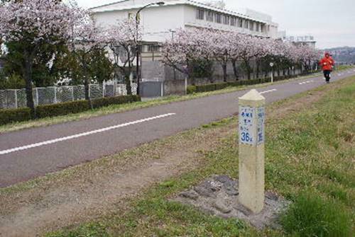 http://homepage2.nifty.com/n-chan/img206.jpg