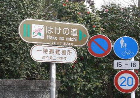http://homepage2.nifty.com/n-chan/img234.jpg