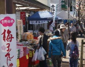 http://homepage2.nifty.com/n-chan/img157.jpg